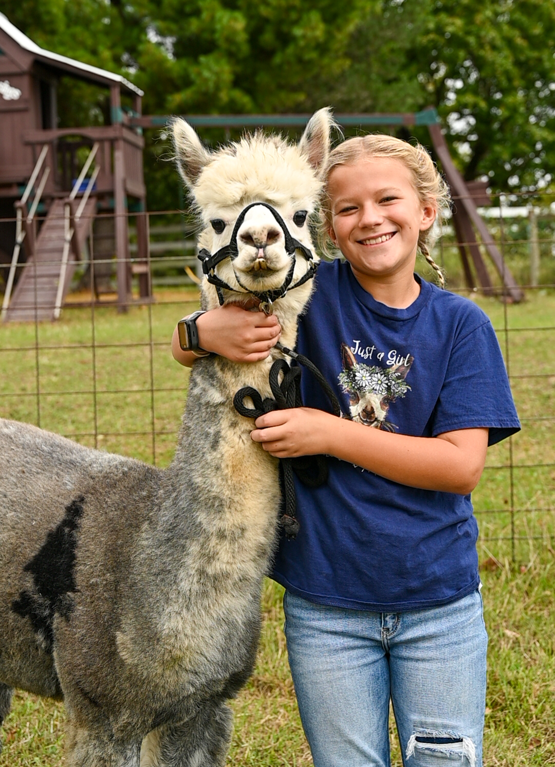 Child meeting alpacas at Count Your Blessings Farm